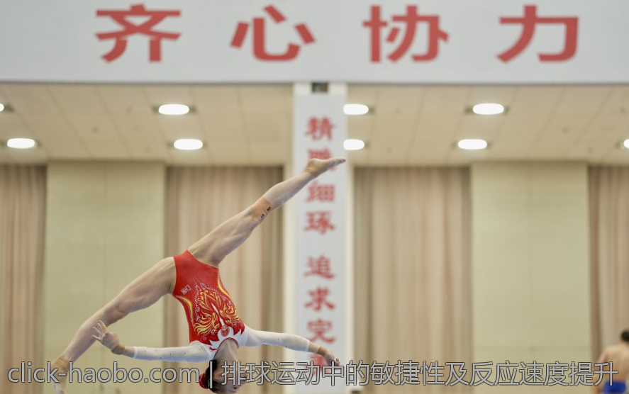 排球运动中的敏捷性及反应速度提升