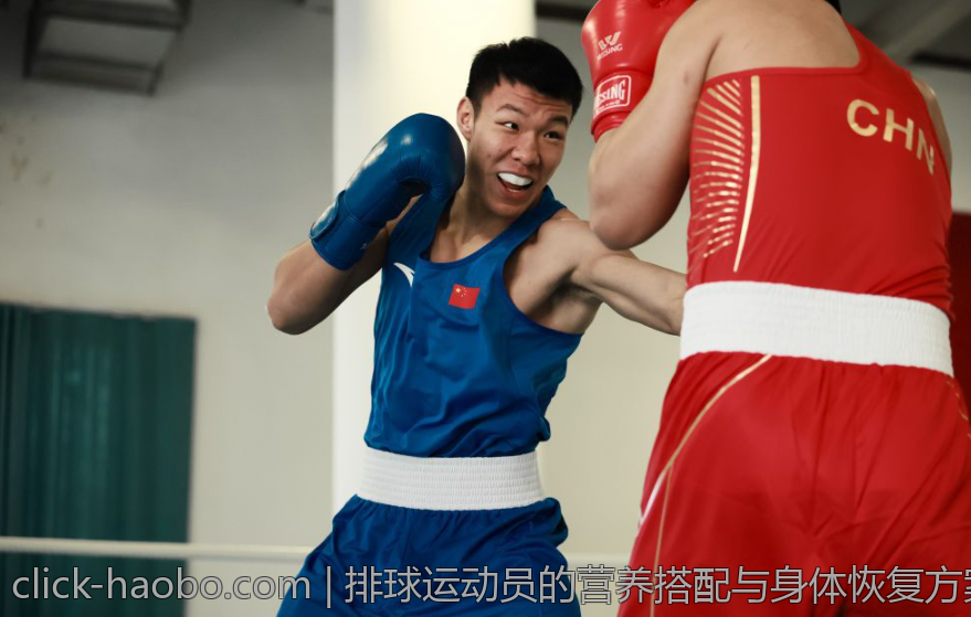 排球运动员的营养搭配与身体恢复方案